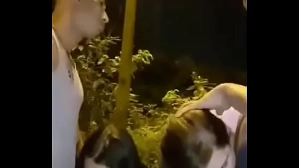 Dos amigas chupando pijas en la calle